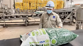 Đạm Phú Mỹ muốn chia cổ tức năm 2022 tỷ lệ 70%