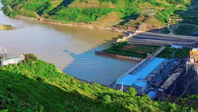 Tổng Giám đốc Tập đoàn HIPT đăng ký mua 1 triệu cổ phiếu SD9