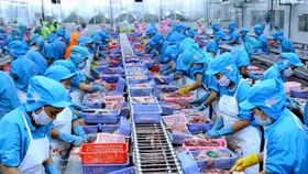 USD tăng giá khiến nhu cầu nhập khẩu thủy sản của thị trường EU sụt giảm