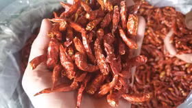 Hàn Quốc thu hồi lô ớt khô Việt Nam do vượt dư lượng thuốc trừ sâu