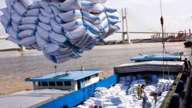 Thời đại dịch Covid-19, giá gạo thế giới tăng cao nhất trong 7 năm