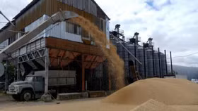 Ukraine cáo buộc Nga không tuân thủ thực hiện thoả thuận ngũ cốc