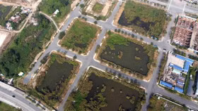 Tổng số tiền chậm nộp của 2 công ty trúng đấu giá đất Thủ Thiêm đã lên gần 200 tỷ đồng