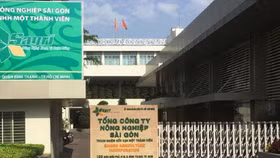 Kiểm toán nhà nước chỉ ra nhiều sai phạm tại dự án Phước Long B của Sagri