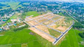 Quảng Ngãi lập Hội đồng thẩm định quy hoạch, kế hoạch sử dụng đất cấp huyện