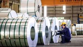 Tập đoàn Hoa Sen trả cổ tức bằng cổ phiếu với tỷ lệ 10%