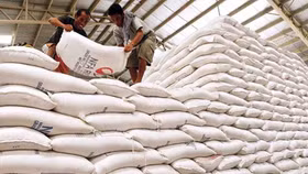 Đình chỉ công tác 7 Cục trưởng vì liên quan đến dự trữ gạo quốc gia