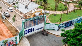 DRH Hoildings (DRH): Phát hành 3 triệu cổ phiếu ESOP giá 10.000 đồng/cp