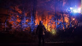 Châu Âu “quay cuồng” vì các đợt nắng nóng kéo dài gây hạn hán và cháy rừng