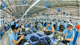 “Kim chỉ nam” của Dafco