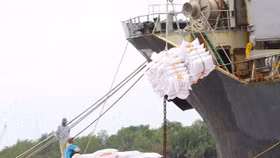 Từ 0 giờ ngày 25/04, mở tờ khai xuất khẩu gạo tồn ở cảng