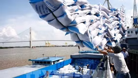 Kiến nghị cho xuất khẩu gạo tồn đọng ở cảng sau ngày 24/03/2020