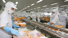 Sức bật cho ngành xuất khẩu thủy sản