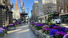 Melbourne: Mùa xuân vẫy gọi!