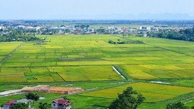 Bộ Tài nguyên và Môi trường sẽ kiểm tra quản lý đất đai tại 26 tỉnh, thành phố trong năm 2021