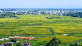 Bộ Tài nguyên và Môi trường sẽ kiểm tra quản lý đất đai tại 26 tỉnh, thành phố trong năm 2021