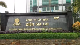 CTCP Điện Gia Lai tiếp tục giải thể thêm 1 công ty con