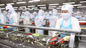 Vì sao "vua tôm" Minh Phú không hoàn thành kế hoạch kinh doanh năm 2019?