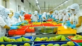 Bộ Công Thương: Xuất khẩu rau quả sang Trung Quốc tăng trưởng tích cực