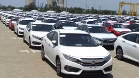 Việt Nam nhập hơn 2.500 ô tô trong 15 ngày đầu năm mới