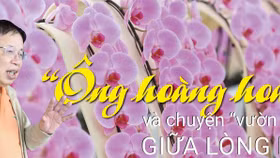 “Ông hoàng hoa lan” và chuyện “vườn địa đàng” giữa lòng Hà Nội