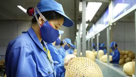 Doanh nghiệp nhỏ và vừa sẽ được Bộ Công Thương hỗ trợ những gì trong năm nay?