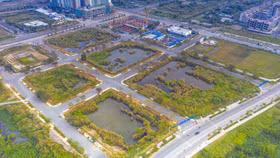 Cục Thuế TP.HCM không chấp thuận với việc hai đơn vị trúng đấu giá đất Thủ Thiêm xin nộp trước 100 tỷ đồng