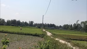 Đà Nẵng: Rủi ro với dịch vụ chuyển muc đích đất nông nghiệp trên mạng xã hội