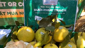 Đặc sản na Chi Lăng, bưởi Phúc Trạch đến với đông đảo người tiêu dùng cả nước