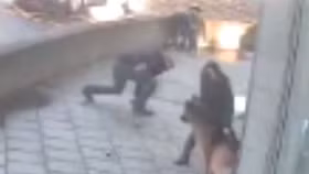 Chồng liều mạng giải cứu khi vợ bị chó becgie tấn công giữa phố