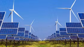 EVN phê duyệt giá mua điện tạm thời của 2 nhà máy điện mặt trời, điện gió chuyển tiếp