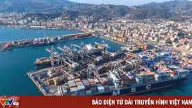 Vụ 100 container điều Việt Nam: Sẽ phong tỏa các container hạt điều đến cảng La Spezia