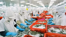 Xuất khẩu nông, lâm, thủy sản đạt gần 45 tỷ USD