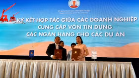 Vietinbank tài trợ vốn cho dự án Mũi Né SummerLand của Hưng Lộc Phát