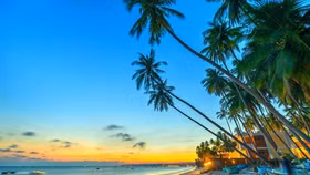 Tiềm năng trở thành điểm đến hút khách bậc nhất Việt Nam của Phan Thiết