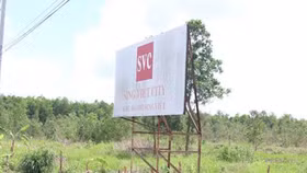 TP.HCM: Giải quyết vướng mắc tại một số dự án trên địa bàn