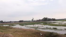 Khách hàng bị “lừa sấp mặt” khi bỏ tiền tỷ mua đất tại dự án Hưng Thịnh Cát Tường?