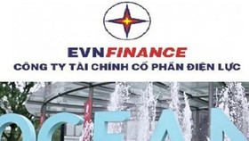 Bán hết 19,95 triệu cổ phiếu OCH, EVN Finance lãi lớn?