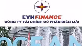 Bán hết 19,95 triệu cổ phiếu OCH, EVN Finance lãi lớn?