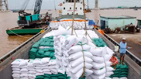 Xuất khẩu gạo Việt Nam năm 2020 ước đạt 3,07 tỷ USD