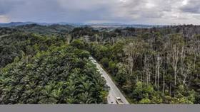 Indonesia chọn thủ đô mới, chấp nhận "rời bỏ" Jakarta