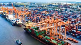 5 Hiệp hội "bất bình" về thu phí vận tải cảng biển, TP. HCM phản pháo