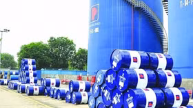Bộ Công Thương lên tiếng việc chưa rút giấy phép kinh doanh xăng dầu của 5 doanh nghiệp đầu mối