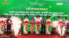 Khai mạc Tuần lễ quảng bá, giới thiệu và bán sản phẩm OCOP