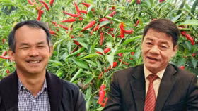 Thaco tiếp tục mua vào bất thành 5 triệu cổ phiếu HNG của HAGL Agrico