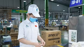 IPO thành công, An Phát Holdings dự kiến chào sàn HoSE cuối vào tháng 7