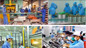 Nhiệm vụ, giải pháp chủ yếu cải thiện môi trường kinh doanh, nâng cao năng lực cạnh tranh quốc gia năm 2018