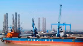 IPO Vinalines: Không chọn nhà đầu tư lướt sóng
