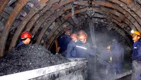 TKV thu về hơn 2.000 tỷ đồng từ thoái vốn