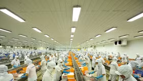 Kim ngạch xuất nhập khẩu: Kỳ tích 400 tỷ USD